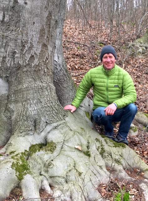 Mario-Herbach-Baumprofi-Nordhessen